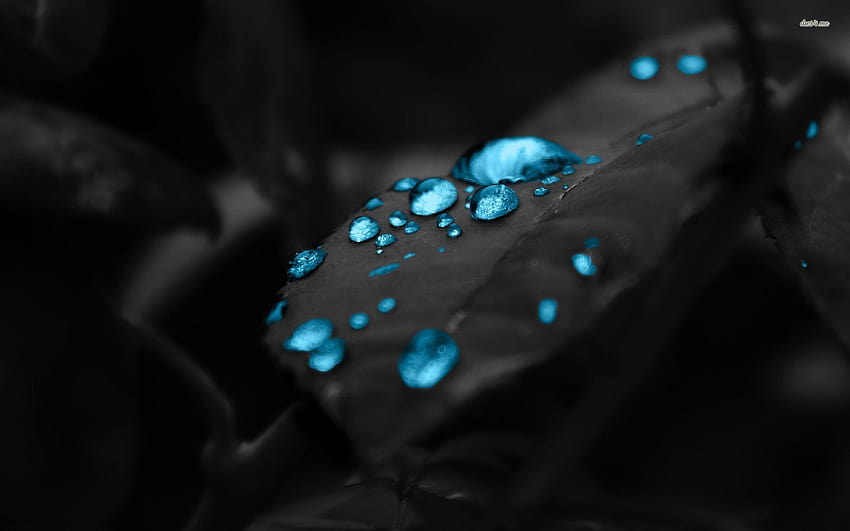 Goccia d'acqua blu scuro su superficie nera, acqua nera Sfondo HD