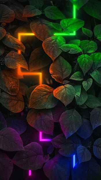 Neon Wallpapers Download  MobCup