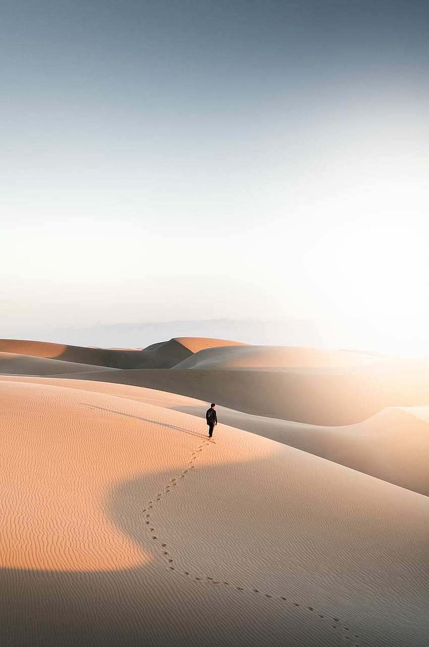 : คนเดินบนทะเลทราย คนยืนอยู่ในทะเลทราย คนเดินในทะเลทราย วอลล์เปเปอร์โทรศัพท์ HD