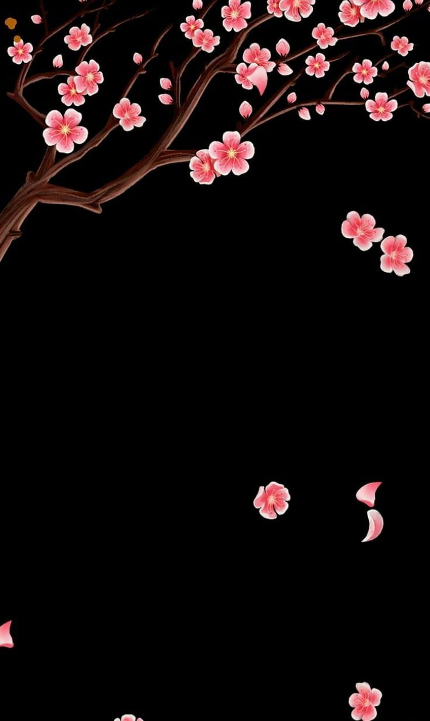 Fiore di ciliegio scuro, sakura nero Sfondo del telefono HD