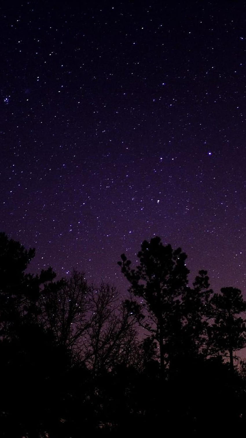 별이 빛나는 하늘 아래 밤 자연 나무 하늘 별 나무, 밤하늘 모빌 HD 전화 배경 화면