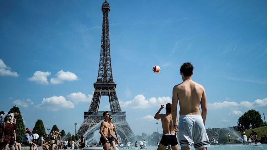 Europe heat wave 2019 : how humans, and zoo animals, cool off, summer heatwave HD wallpaper