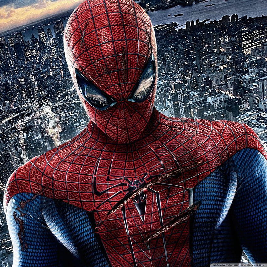 The Amazing Spider Man : High Definition HD phone wallpaper | Pxfuel