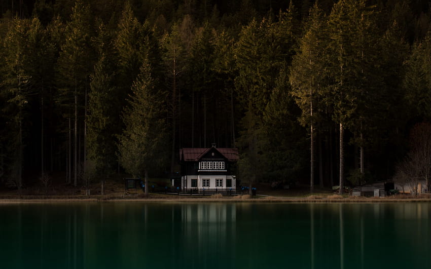 Lake, House, Gloomy, Fog, Shore, lake cabin HD wallpaper