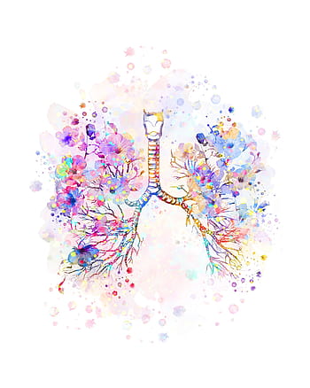 Art Of Lungs In White Background HD Medical Art Wallpapers | HD Wallpapers  | ID #41095
