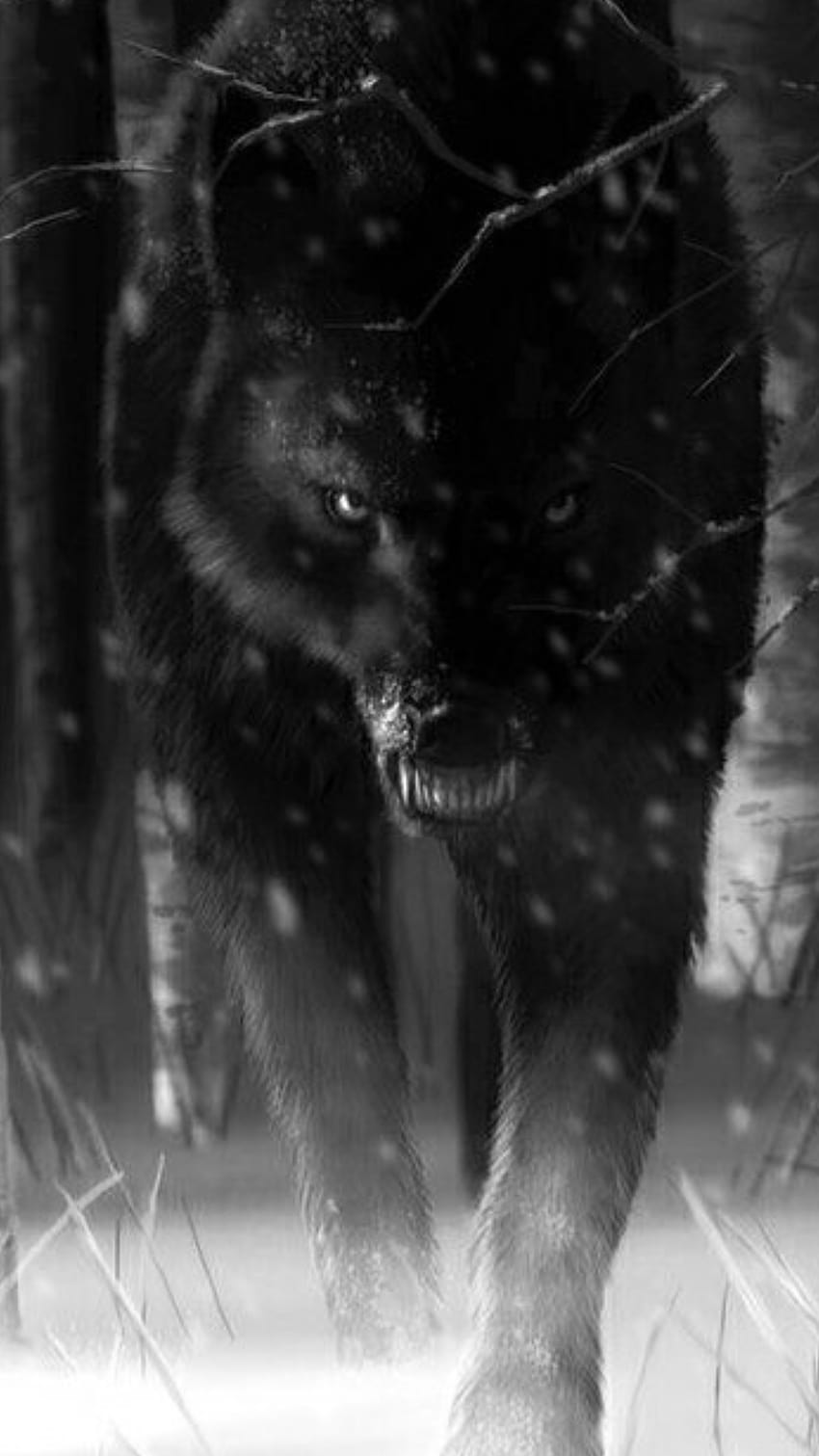 Безстрашен голям красив черен вълк, сладко бебе черен вълк HD тапет за телефон