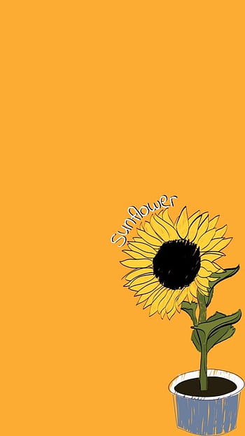 Sunflowers background HD wallpapers | Pxfuel
