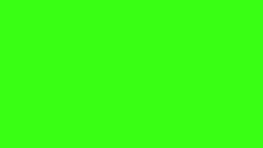 7 Solid Green, plain green HD wallpaper