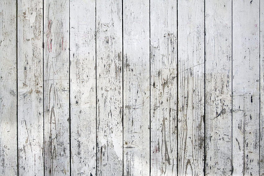 흰색 판자, 오래된 울타리 판자 HD 월페이퍼