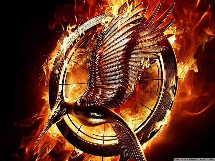 The Hunger Games Catching Fire 2013 ❤ สำหรับ อินทรีไฟ วอลล์เปเปอร์ HD