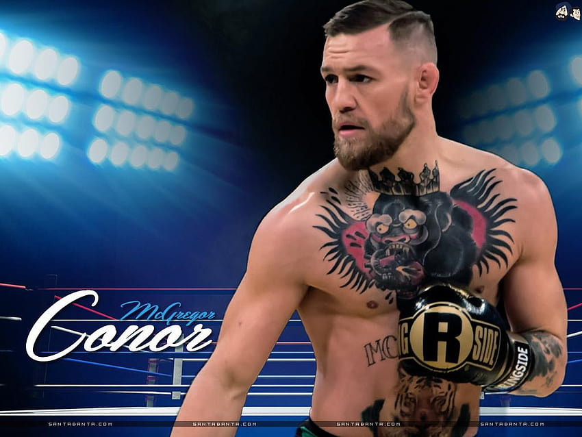 conor mcgregor art HD wallpaper