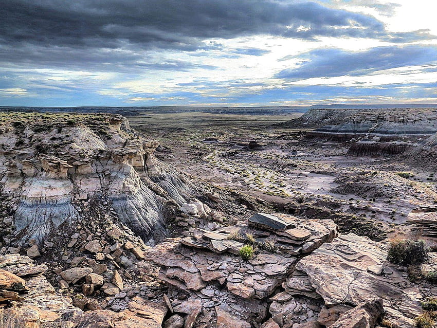 Petrified Forest National Park Arizona [OC][1600x1200] landscape HD wallpaper