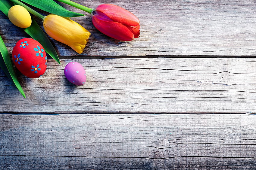 Fiore del tulipano dell'uovo di Pasqua Schede della cartolina d'auguri del modello, tulipano di pasqua Sfondo HD