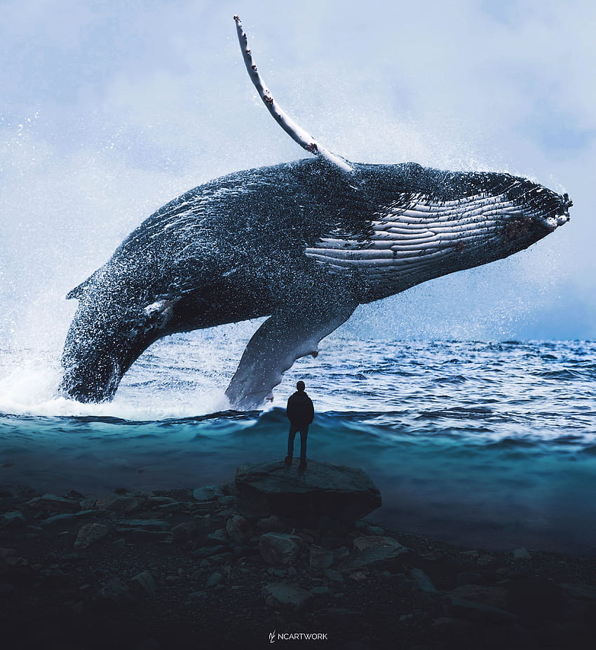 シロナガスクジラのアート、 HD電話の壁紙