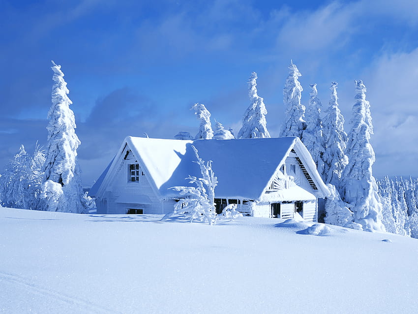 Its Cold Outside Winter Snow HD wallpaper