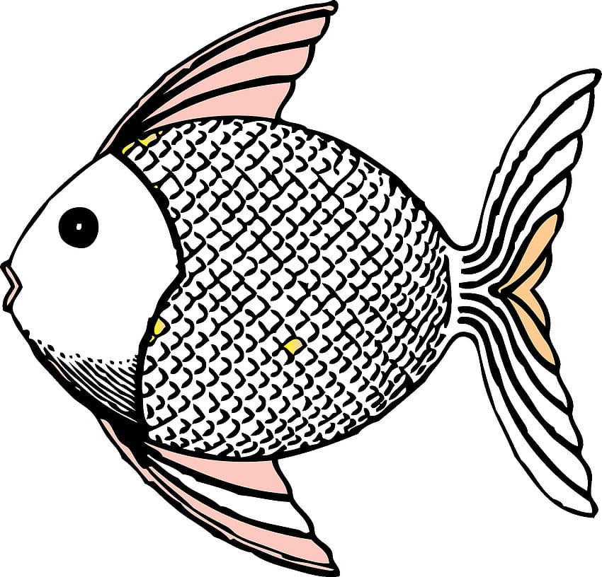 Crappie Fish Silhouette, Crappie Fish Silhouette png , ClipArts on Clipart Library HD wallpaper