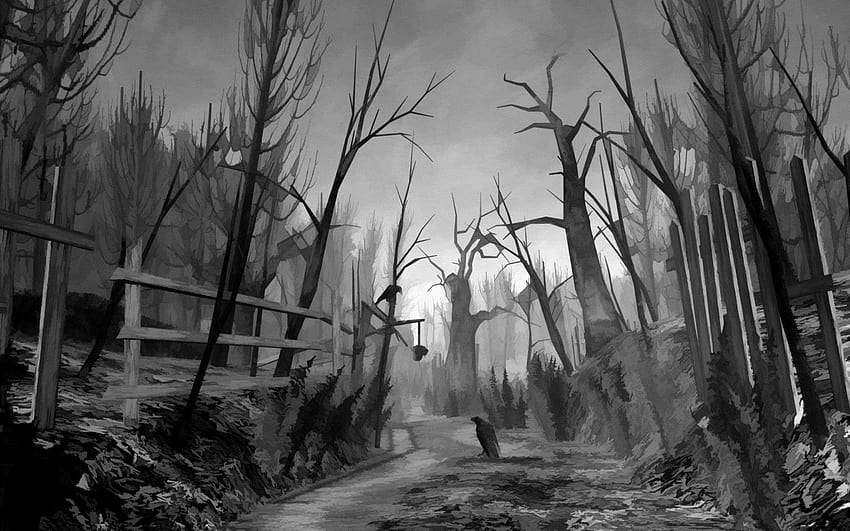 Creepy Forest, get scared HD wallpaper