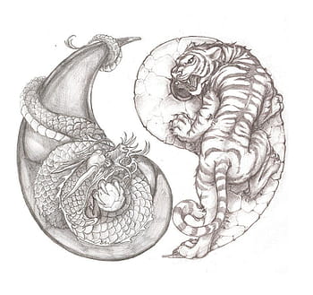 Dragon Tattoos graffiti Tattoo japanese Dragon white Dragon tattoos  artistic Yin and yang Chinese dragon Rooster Tattoo  Anyrgb