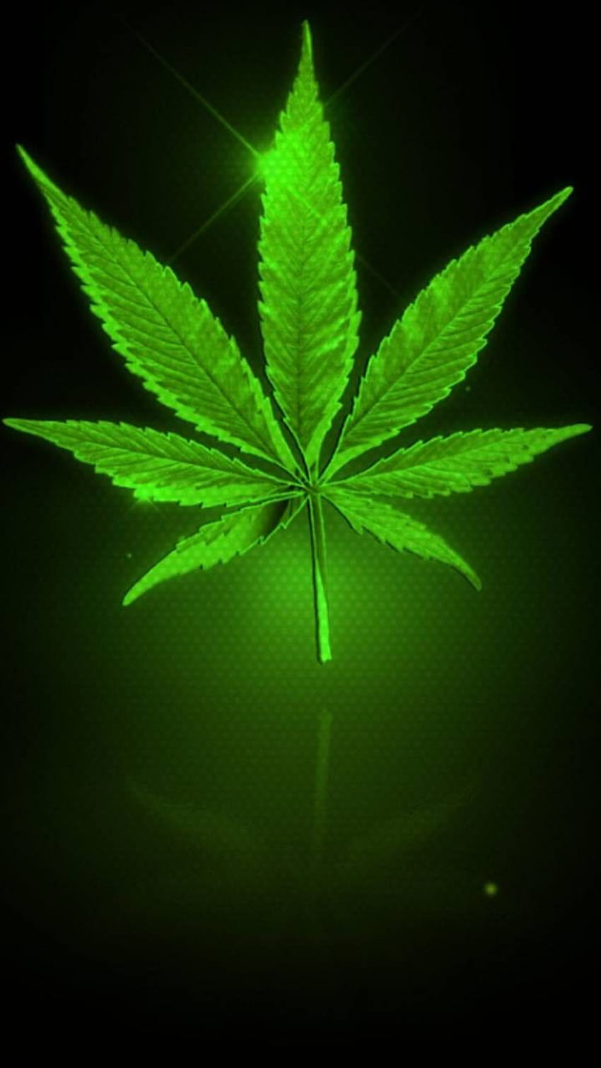 Weed, cannabis leaf HD phone wallpaper