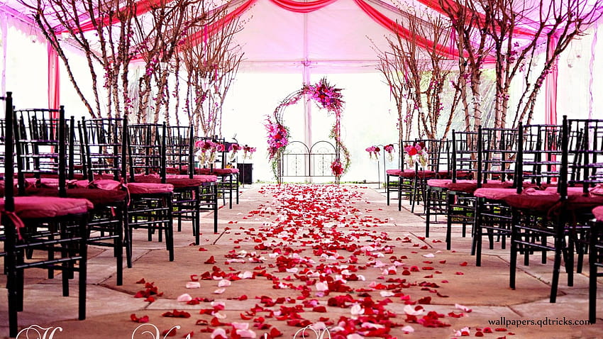 San Valentino 2014, sala matrimoni Sfondo HD