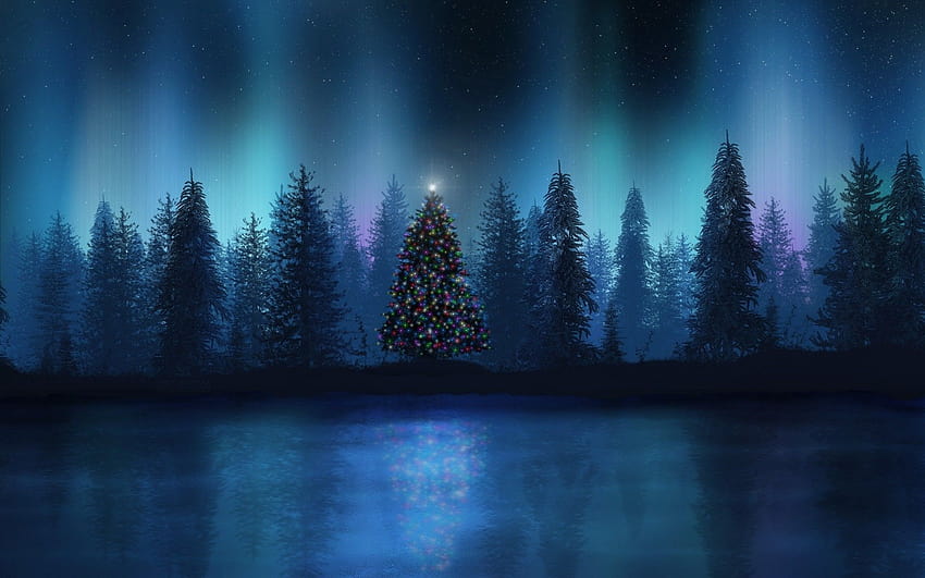 Landscape christmas tree aurorae forest, forest christmas HD wallpaper ...