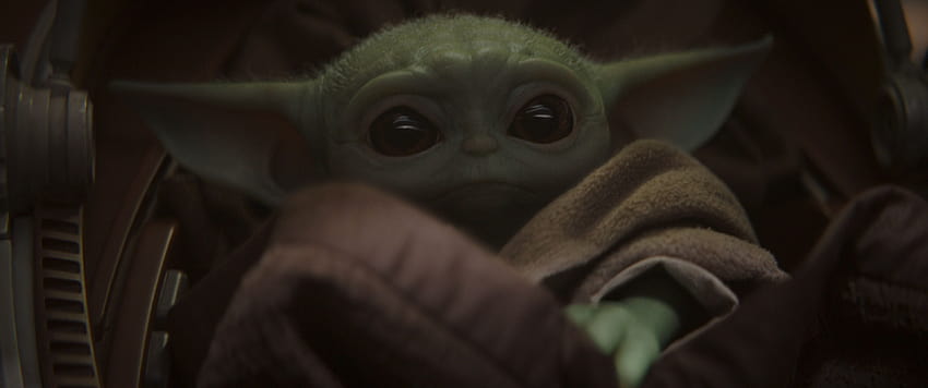 Baby Yoda: Everything to know about 'The Mandalorian's, baby yoda and baby groot HD wallpaper
