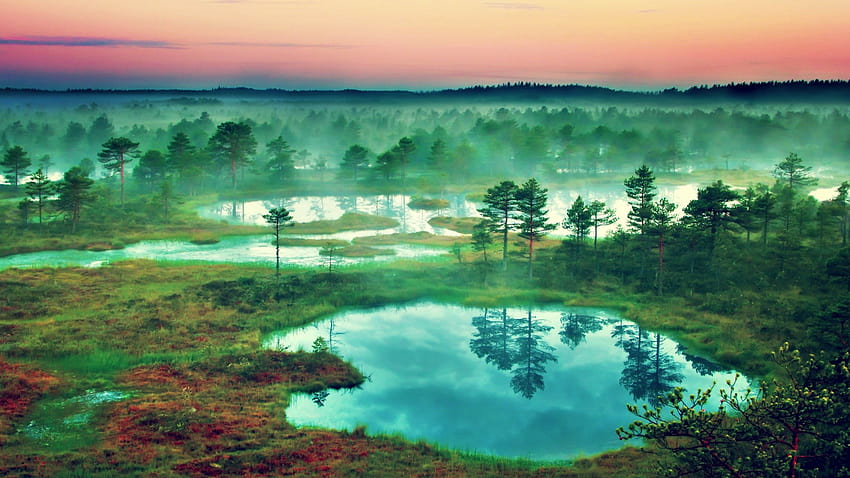 Pin on Baltic Landscape [2560x1440] for your , Mobile & Tablet, wetland HD wallpaper