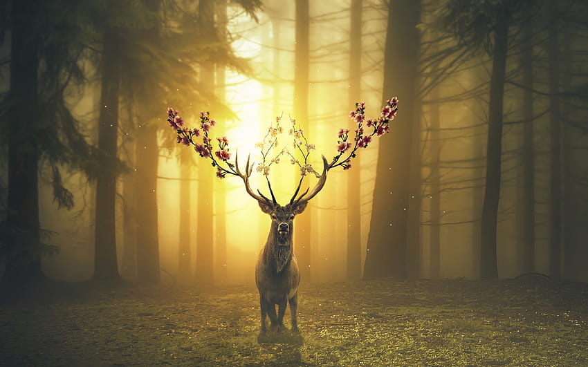 Fantasy Deer In Forest Surreal เหนือจริงในฤดูใบไม้ผลิ วอลล์เปเปอร์ HD