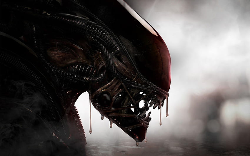 Ridley Scott Alien HD wallpaper