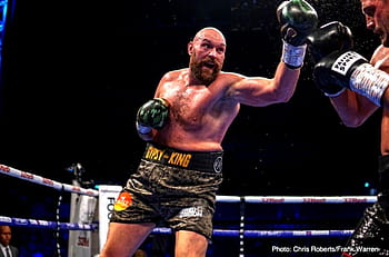 Tyson fury HD wallpapers  Pxfuel