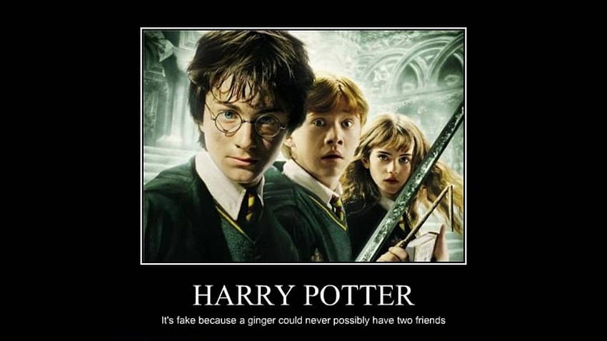 Funny Harry Potter, harry potter funny HD wallpaper | Pxfuel