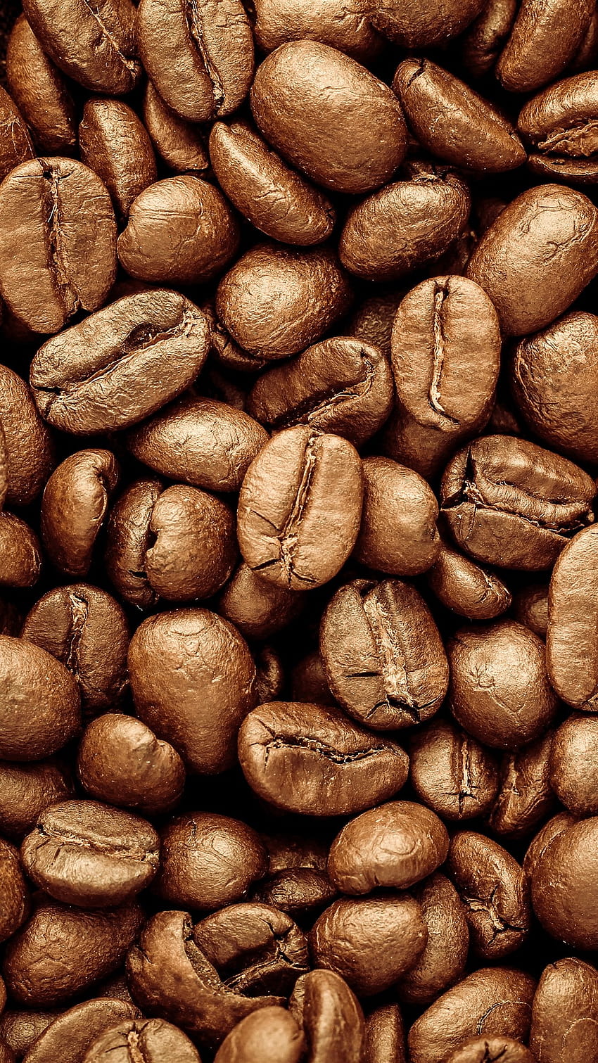Many coffee beans 5120x2880 U , normal coffee aesthetic HD phone wallpaper