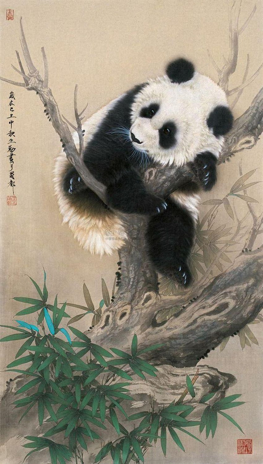 114 best, panda booty HD phone wallpaper
