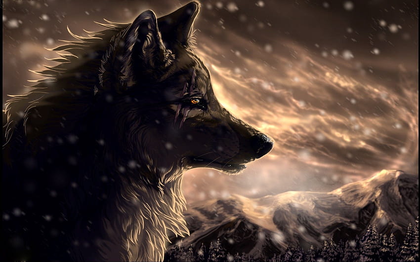 Black Wolf Wallpaper 64 images