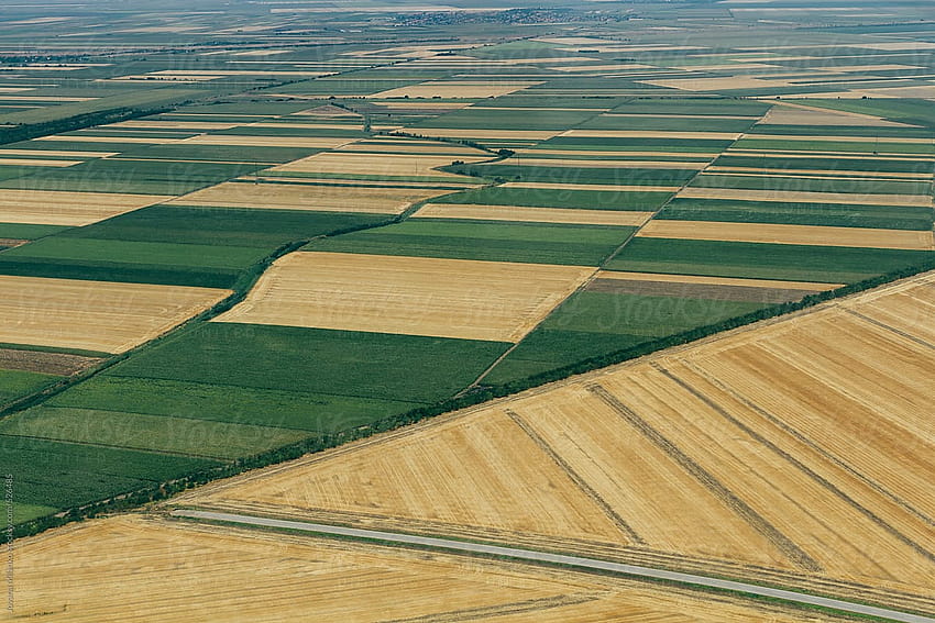 Vue aérienne des cultures, terres cultivées de Voïvodine par Jovana Milanko Fond d'écran HD