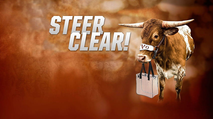 2017 Texas Longhorns Football, texas longhorn cattle HD wallpaper