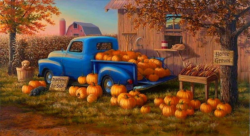 Misc: Grown Fruit Pumpkin Farm Harvest Lovely Car Halloween, farmhouse HD wallpaper