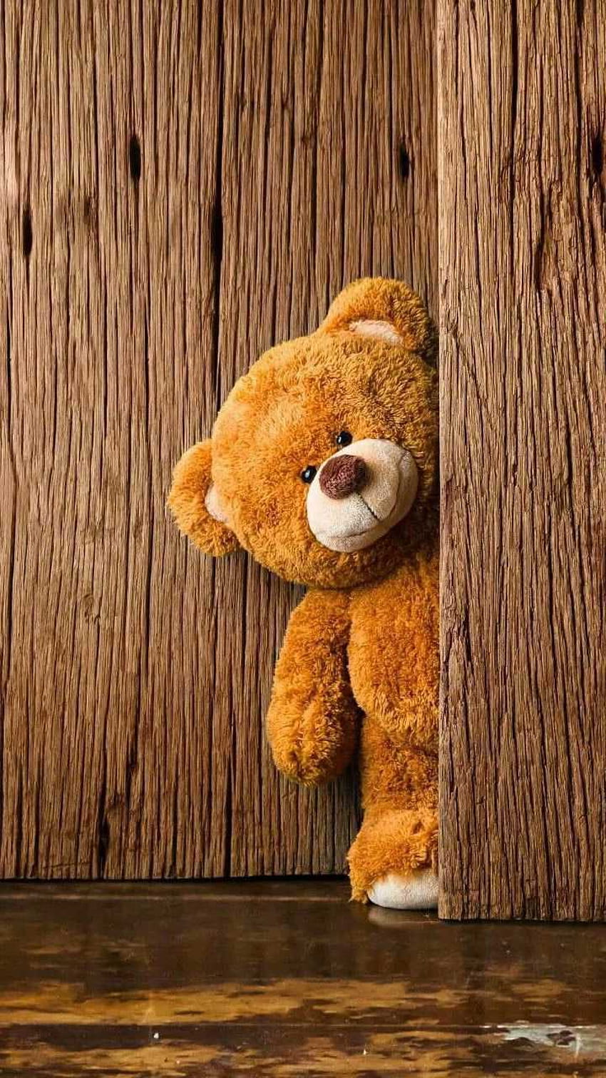 Teddy Bear on Dog HD phone wallpaper