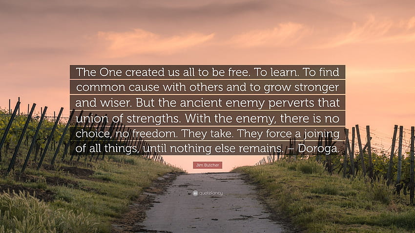 Zitat von Jim Butcher: „Der Eine hat uns alle erschaffen, um …“ Lernen. Mit anderen gemeinsame Sache finden und stärker und weiser werden. Aber der ..., alter Feind HD-Hintergrundbild