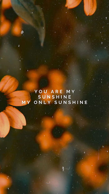 HD you are my sunshine wallpapers  Peakpx