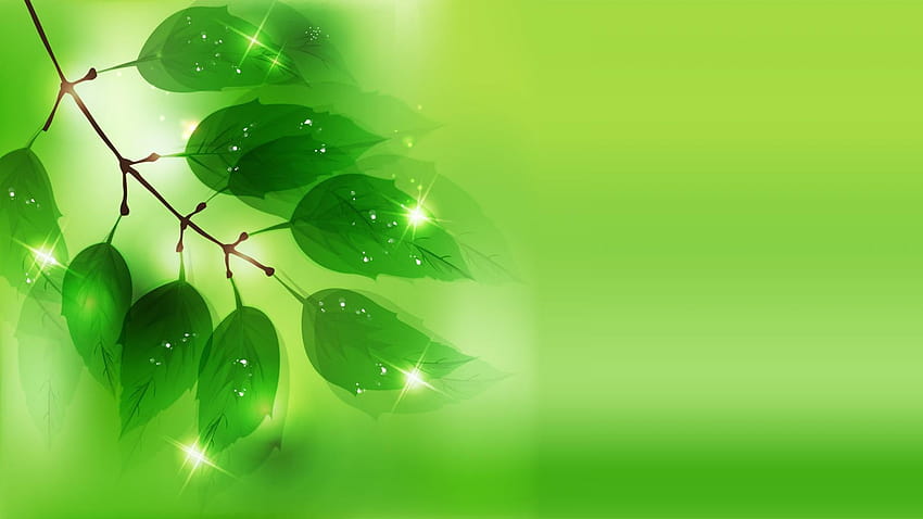 Zielony — wyjątkowa wysoka rozdzielczość, hijau tła w wysokiej rozdzielczości Tapeta HD