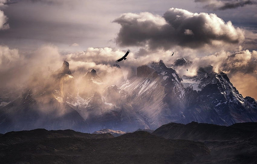 clouds, mountains, birds ...goodfon, andean condor HD wallpaper
