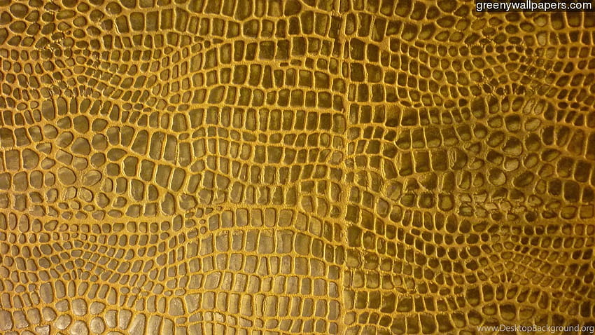 Crocodile Skin, alligator print HD wallpaper