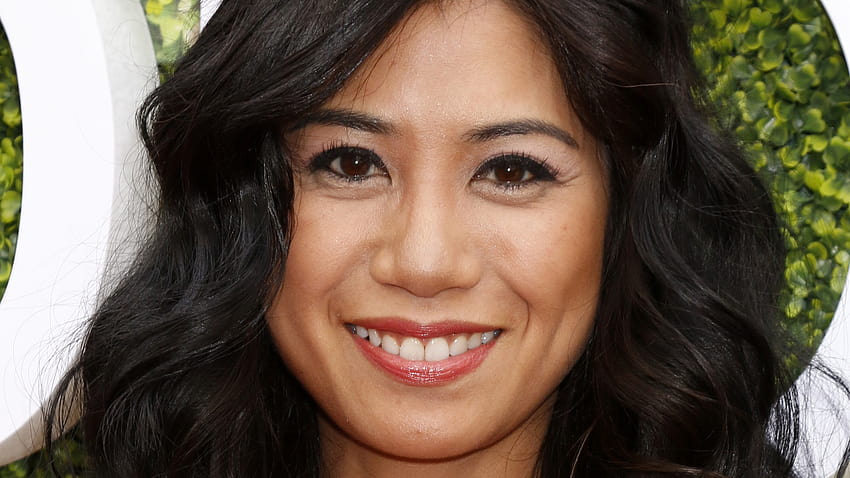 Here's What Liza Lapira From NCIS Is Doing Now HD wallpaper