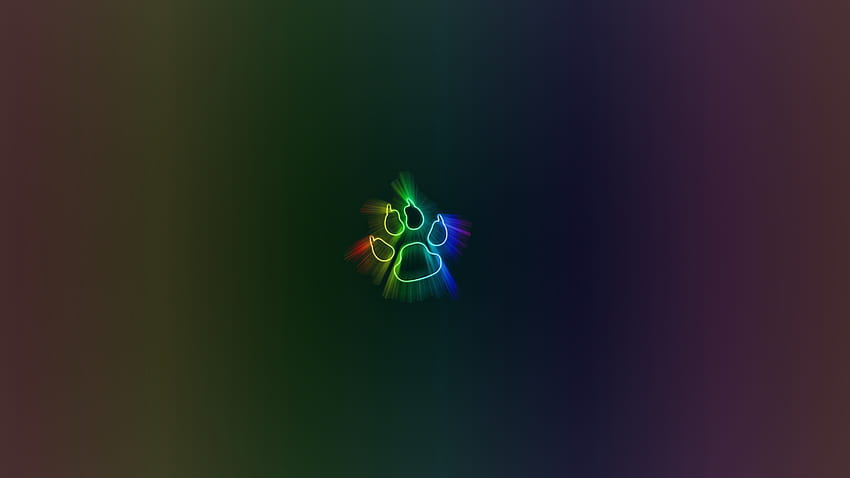 Rainbow pawprint v2 by arcaeni, rainbow paws HD wallpaper