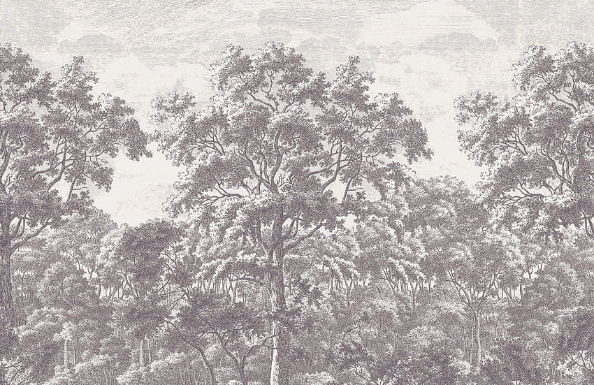 灰色の森の図 高画質の壁紙