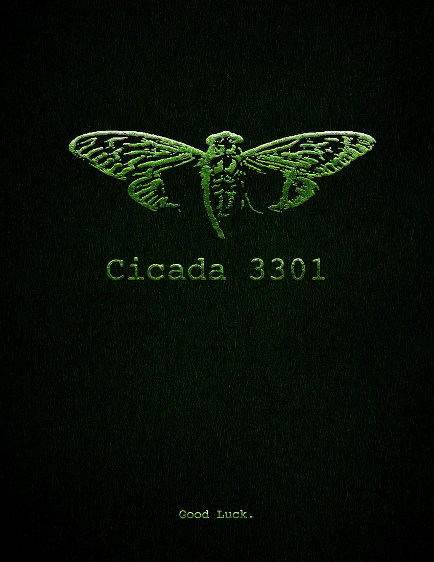 Dark Web: Cicada 3301 HD phone wallpaper