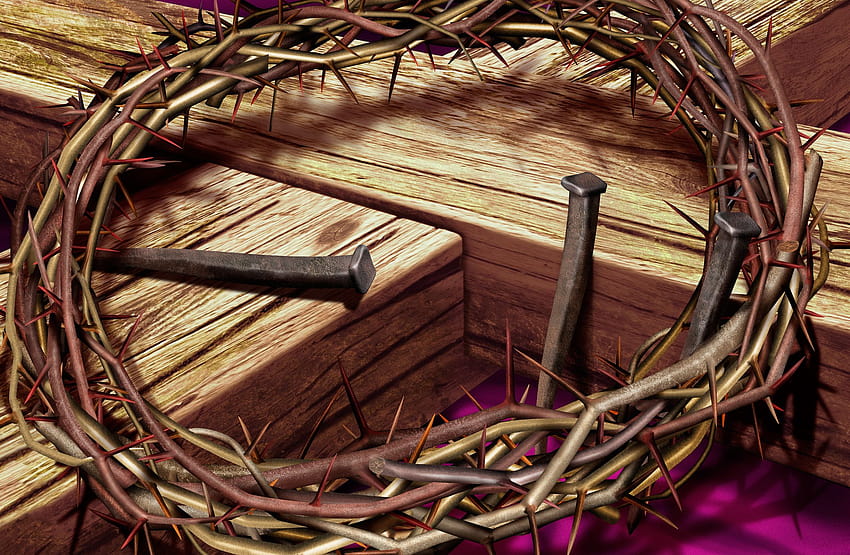 THE THORN IN MY HEART The Well Dressed Branch, jesus crown of thorns HD wallpaper