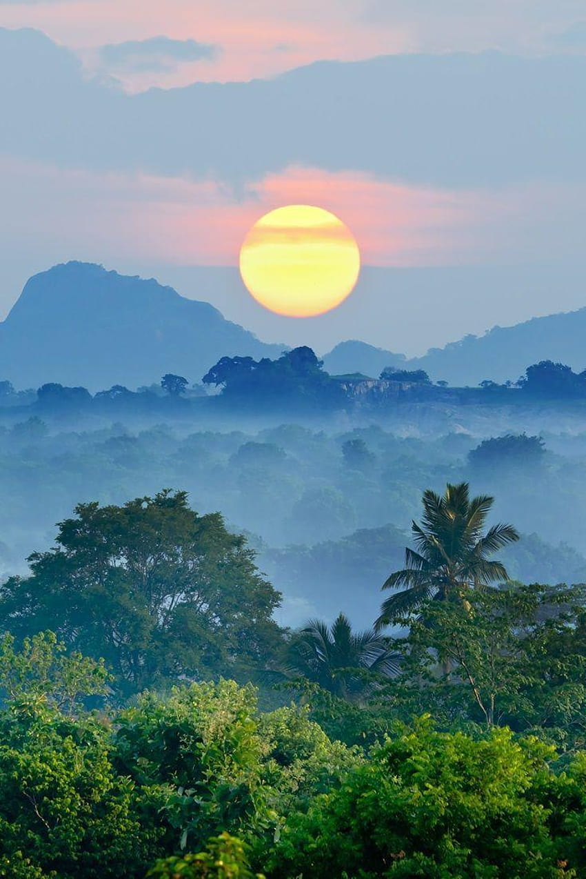 Salida del sol de Sri Lanka sobre la jungla en 2019, móvil de Sri Lanka fondo de pantalla del teléfono