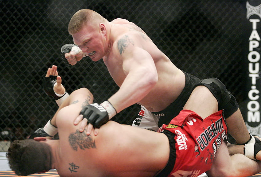 Brock Lesnar: Why He Will Be the Worst Coach in The Ultimate Fighter History HD wallpaper